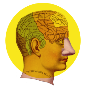 Logo de la Chaire de recherche UQTR en neuroanatomie chimiosensorielle
